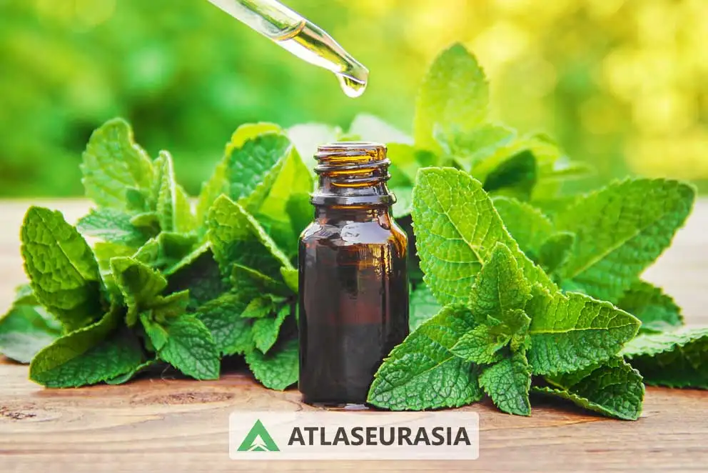 اسانس خوراکی نعنا